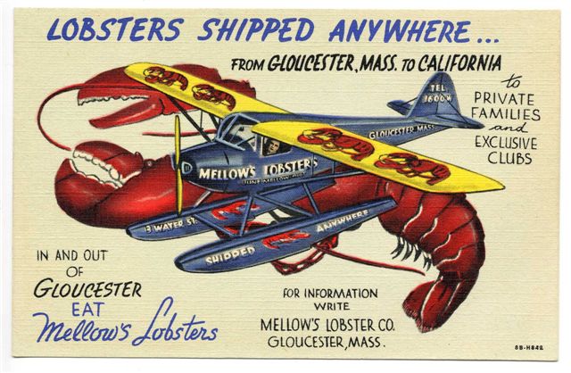 Vintage postcard: “Lobsters Shipped Anywhere” · classic linen-era comic